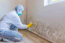 Best Biohazard Mold Removal  in Carle Place, NY