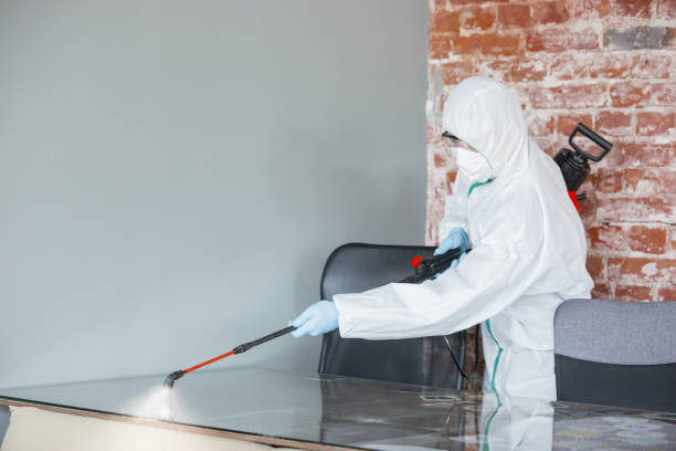 Best Mold Damage Restoration  in Carle Place, NY